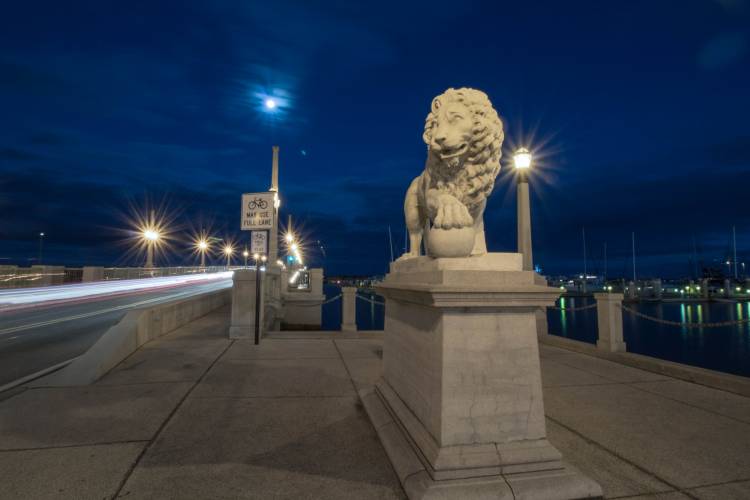 lion statue st. augustine