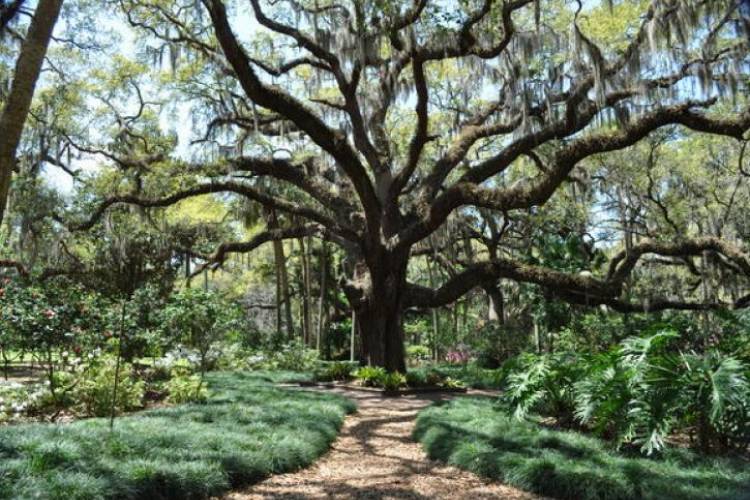 washington oaks state park