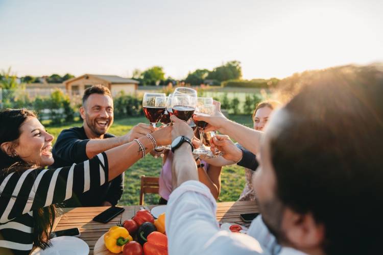 friends raising glasses of wine at a dinner in a vineyard